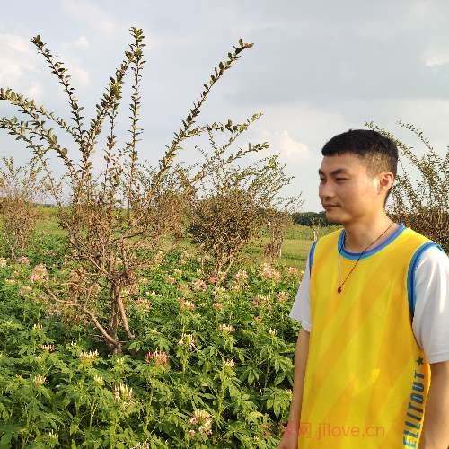 37岁岁广东单身帅哥 - 宁波吉缘网